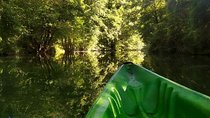 Half day descent