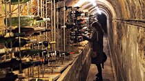 Craft Beer, Port & Wine Tour