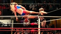 Lucha Libre wrestling show, tacos and beer with artist