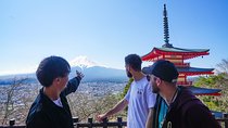 Mt. Fuji Private Chartered Tour with Nature & Wasabi Farm