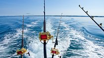 Offshore Fishing - Half Day (Trolling)