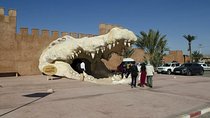 Discover the amazing Park of CROCODILE