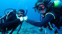 PADI Open Water Diver Course