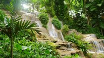 Konoko Falls and Park Private Tour with Hotel Pickup