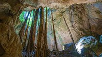 Private Exploring Tour in Green Grotto Caves and Rafting on the Martha Brae