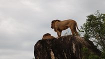 3 Nights Queen Elizabeth National Park Retreat 