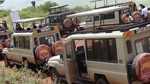 Ngorongoro Crater Day Tour