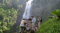 Mount Kilimanjaro day trip trekking 