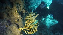 DISCOVER SCUBA DIVING - First step to your certification