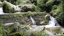 Shivapuri National Park Day Hiking From Kathmandu