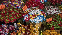 Day trip from Rome: Sulmona, the town of Confetti and Pacentro - private tour