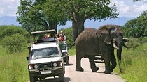 2-Day Amboseli National Park Safari from Nairobi