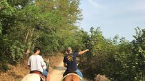 Horseback riding and wine tasting