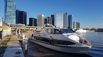 Tigre Delta Premium Tour Buenos Aires