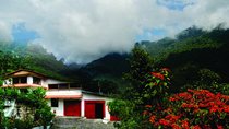 Coffee Tour La Victoria and waterfalls in Minca - Private Tour