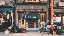 Tokyo Private Customizable Half Day Tour