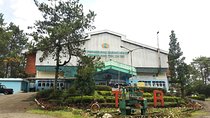 Java Classic Overland Tour