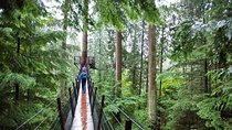 Vancouver Premium Tour: Capilano Bridge + Grouse Mountain Lunch
