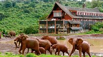 Aberdares National Park Luxury Lodge Safari 2days 1 Night Tour