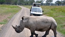 Nairobi National Park, Giraffe center & Beads Factory Guided Day Tour