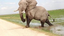 3-day Budget Safari To Maasai Mara 