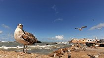 From Marrakech : Shared Tour to Essaouira