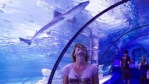 Half Day Antalya Aquarium Tunnel from Side