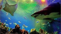 Aquaria KLCC Ticket