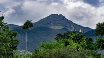 Port Douglas Daintree National Park Boutique Full-Day Tour