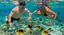 Full-Day Private Guided Lombok Snorkeling 3 Gili Islands 