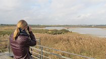 Afternoon birdwatching at Lagoa dos Salgados