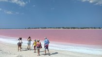 Full-Day Tour to Las Coloradas Pink Paradise in Yucatan and Rio Lagartos.