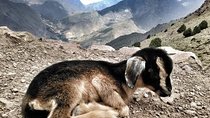 3 Valleys and Berber Villages 4 Day Tour from Marrakech