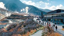 Hakone Private Two Day Tour from Tokyo with Overnight Stay in Ryokan