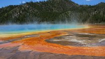 Yellowstone National Park - PRIVATE Full-Day Lower Loop Tour from W. Yellowstone
