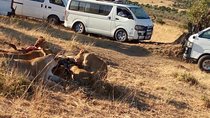 4-Day Masai Mara Shared Budget Safari with Pickup from Nairobi