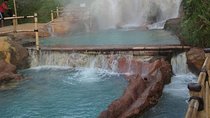 Private Tour Tour from Tangkuban Perahu Crater & Hot Springs