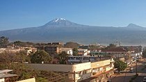 Full-Day Moshi Private Forest Walk and Local Market Tour