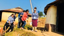 Zulu Cultural Experience: Zulu Village + Tribal Markets + Traditional Zulu Food