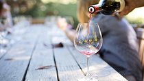 Full-Day Private Guided Tour of Valpolicella for Wine Lovers