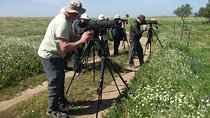 Birdwatching day around Castro Verde