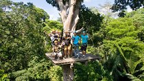 Zipline Experience in Phuket
