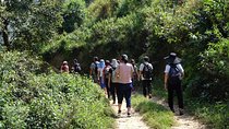Luxury Changu Nagarkot Hike with Overnight Stay & Bhaktapur Tour