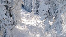 Private 2-day Trip with Snowshoes