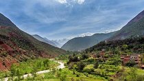 From Marrakech : Shared Tour to Ouzoud Waterfalls
