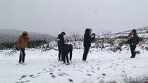 Private Tour through Serra da Estrela Park and its famous cheese