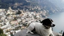 Pompeii, Positano, Sorrento full day with Pompeii guide bookable