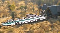 A Day Trip Safari To Lake Manyara National Park