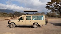 2 Days Luxury Lodge Safari To Tarangire / Lake Manyara & Ngorongoro Crater
