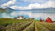 AMAZING HARDANGER: Private round trip with Fjord Cruise – from Bergen, 11 hours